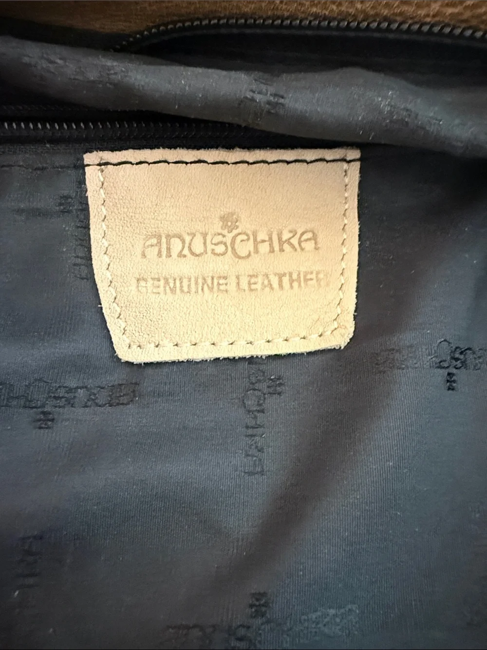 Anuschka Hand Painted Leather Purse